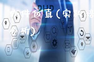 软件仿真(实践培训与案例分析)