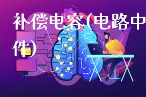 补偿电容(电路中的重要元件)
