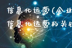 信息化运营(企业如何实现信息化运营的关键步骤)