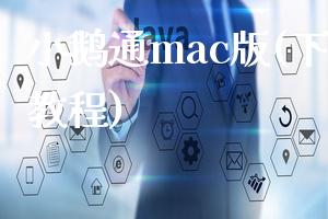 小鹅通mac版(下载安装教程)
