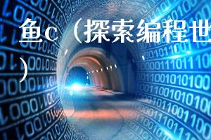 鱼c（探索编程世界的乐趣）